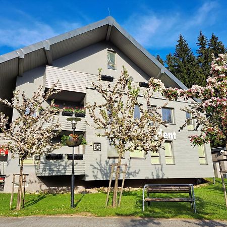 Wellness Apartment Josefina - Free Grotta Spa Wellness Harrachov Exterior photo